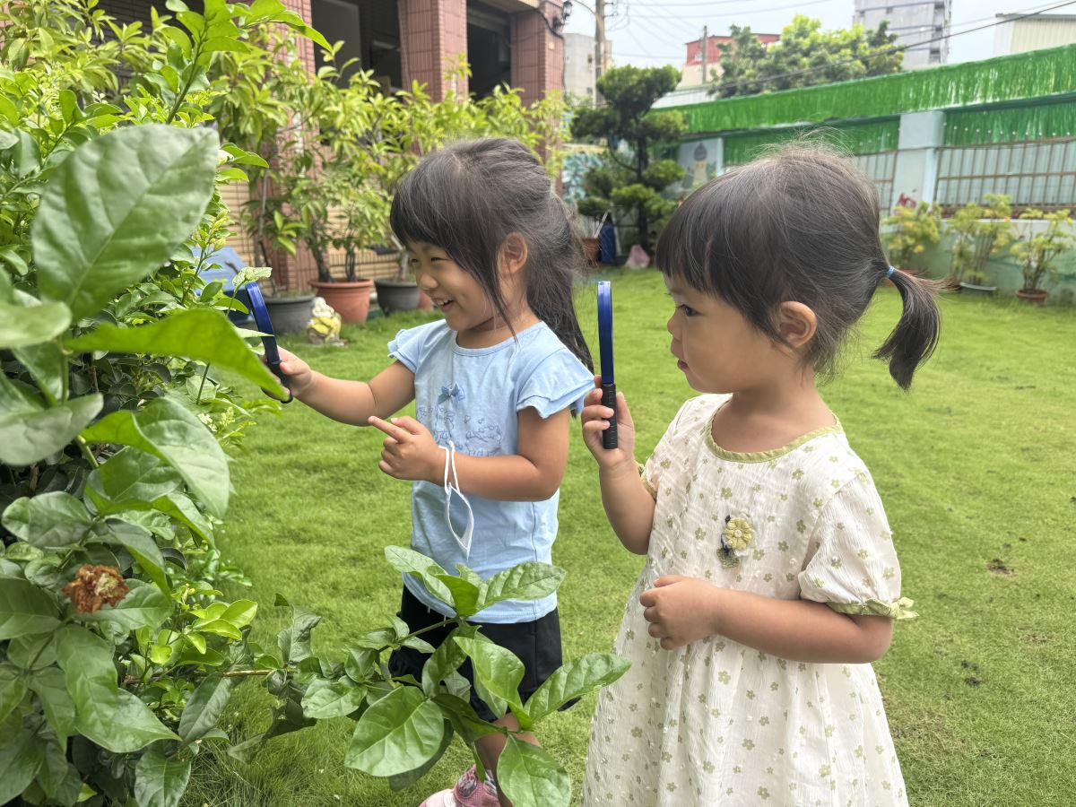 【按右鍵影像屬性置入圖片】